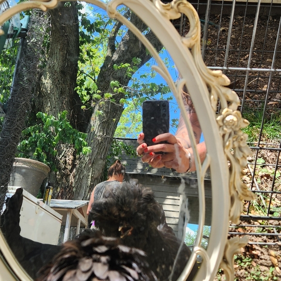 Meet your Posher, Shannon &  her clucker - Picture 3 of 4